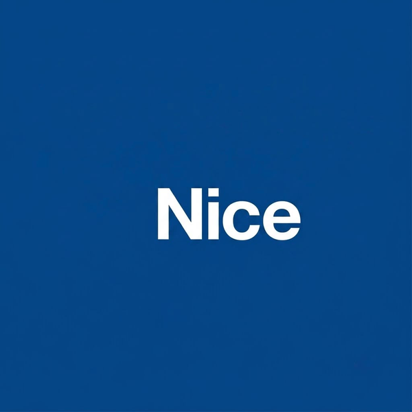 Nice